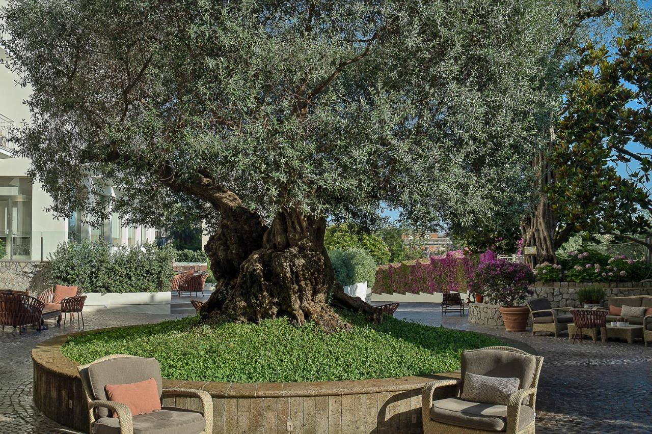 Conca Park Hotel Sorrent